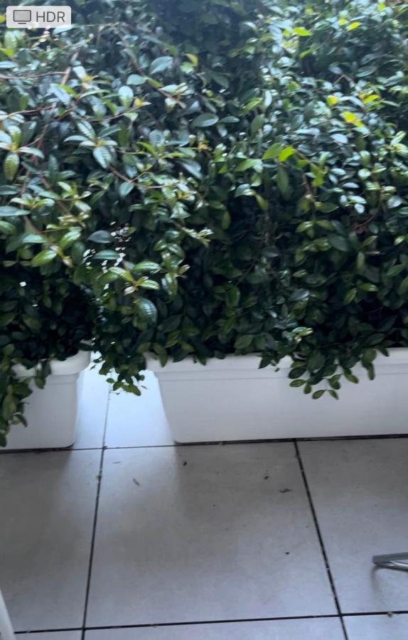 דירות קליארי Loft Mono 3 מראה חיצוני תמונה